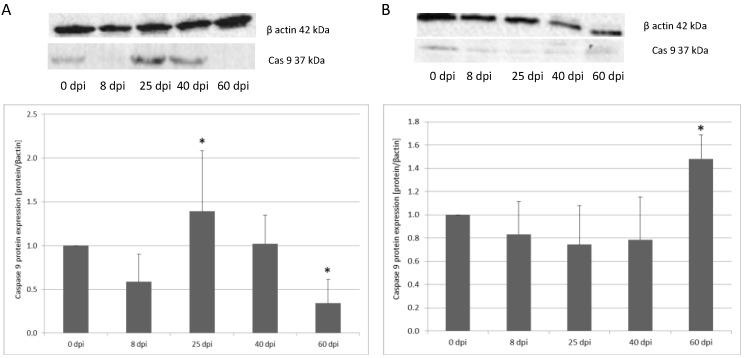 https://cdn.ncbi.nlm.nih.gov/pmc/blobs/8a6b/9368115/9d802617f589/ijerph-19-09753-g006.jpg
