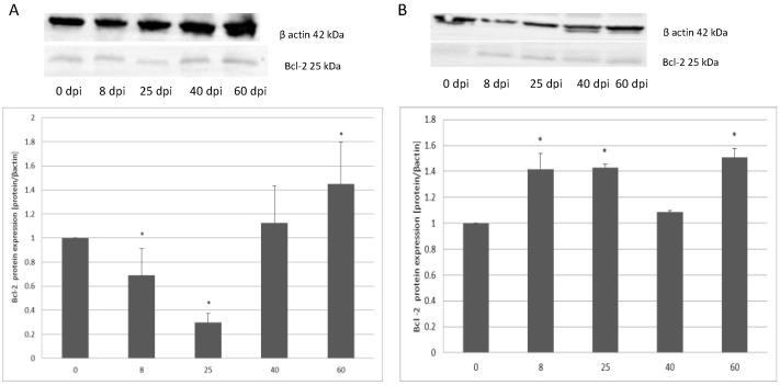 https://cdn.ncbi.nlm.nih.gov/pmc/blobs/8a6b/9368115/b577c3ff3a21/ijerph-19-09753-g004.jpg
