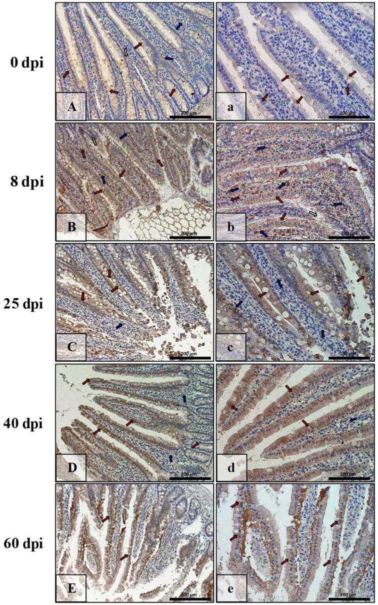 https://cdn.ncbi.nlm.nih.gov/pmc/blobs/8a6b/9368115/da54b4baab4d/ijerph-19-09753-g011.jpg