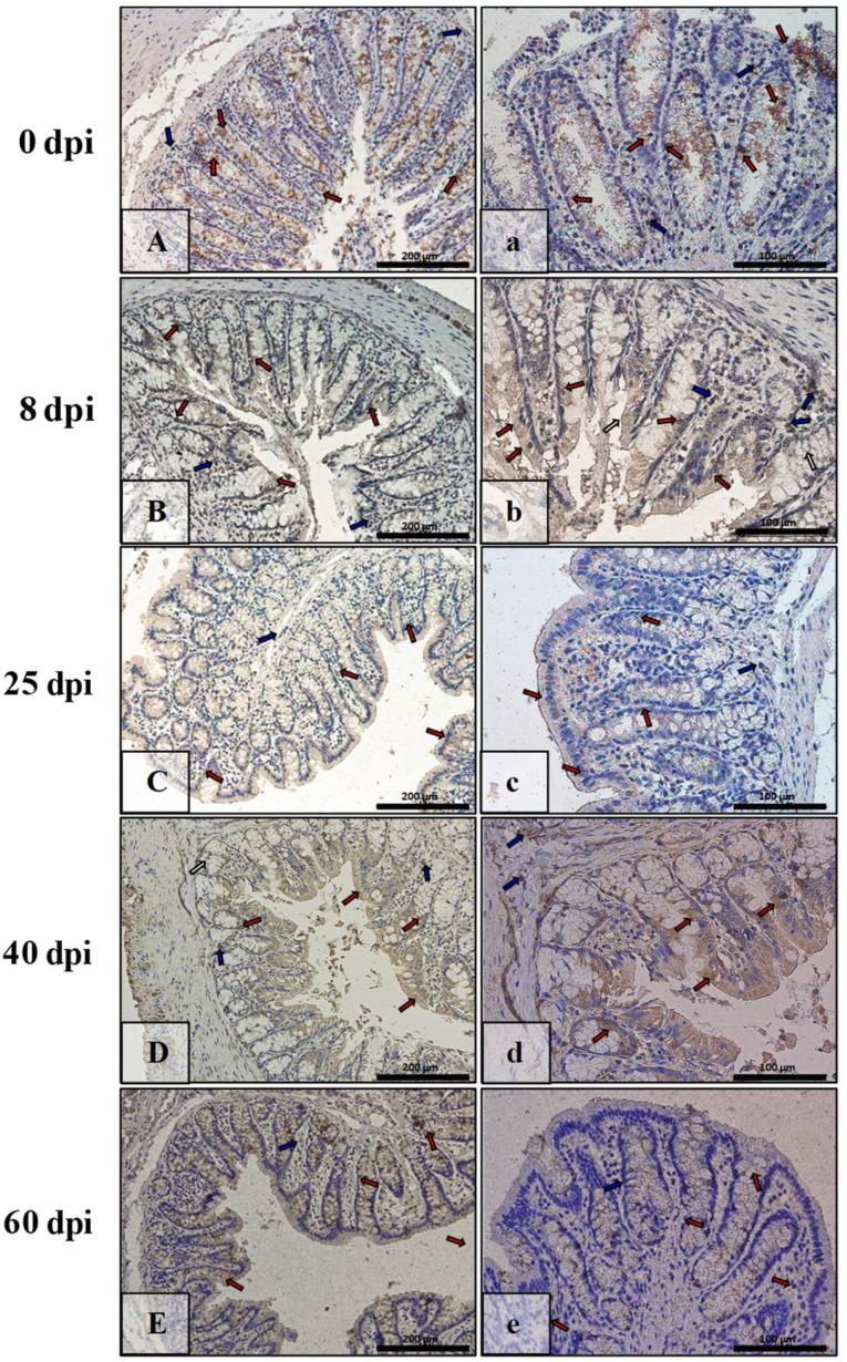 https://cdn.ncbi.nlm.nih.gov/pmc/blobs/8a6b/9368115/e8bf0fa1ccbe/ijerph-19-09753-g012.jpg