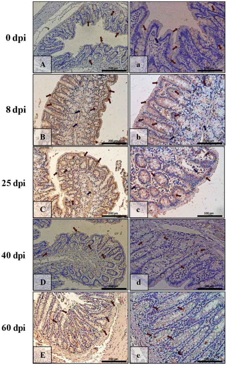https://cdn.ncbi.nlm.nih.gov/pmc/blobs/8a6b/9368115/f062c0807c13/ijerph-19-09753-g008.jpg