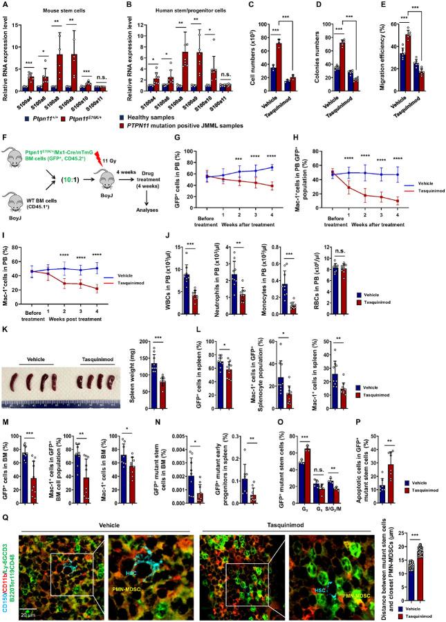 https://cdn.ncbi.nlm.nih.gov/pmc/blobs/8a6d/11326406/c63953588cfa/nihpp-rs4450642v1-f0008.jpg