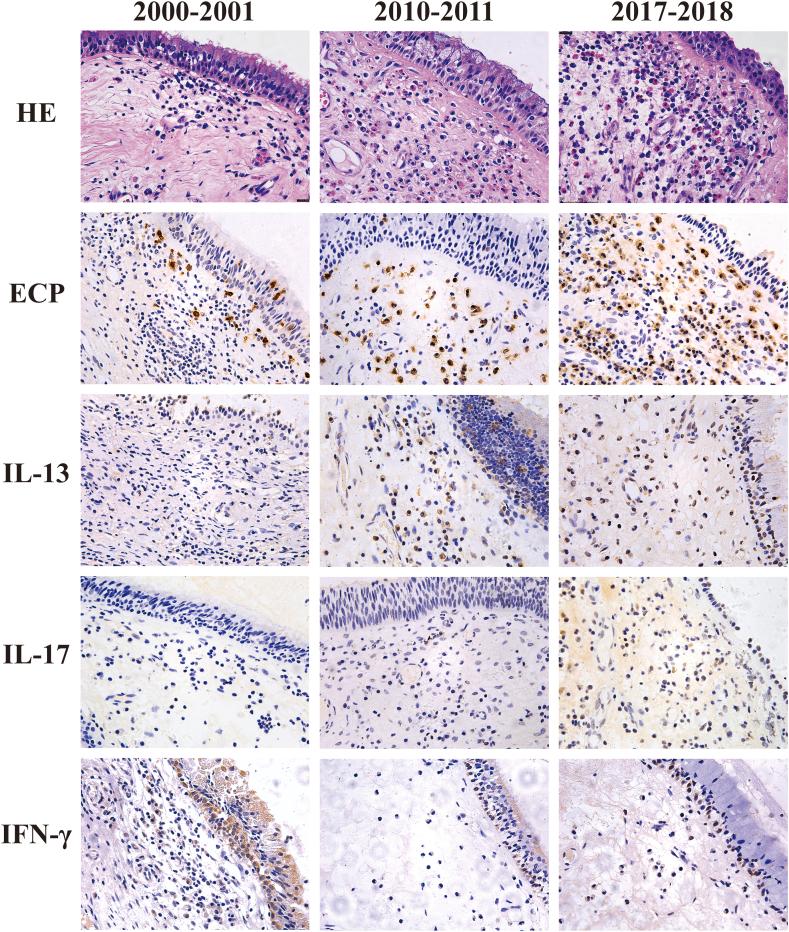 https://cdn.ncbi.nlm.nih.gov/pmc/blobs/8a6e/8080070/e06934c31de0/gr2.jpg