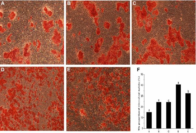 https://cdn.ncbi.nlm.nih.gov/pmc/blobs/8a6f/7858084/385eaadcbb3f/gr6.jpg