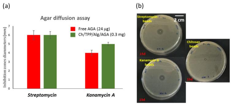 https://cdn.ncbi.nlm.nih.gov/pmc/blobs/8a70/8512199/0e2c9024c1ac/polymers-13-03326-g007.jpg