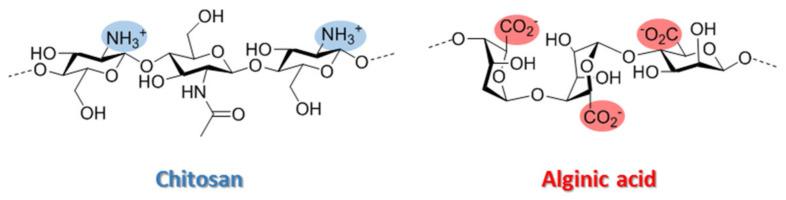 https://cdn.ncbi.nlm.nih.gov/pmc/blobs/8a70/8512199/24b8cf5cba8d/polymers-13-03326-g001.jpg