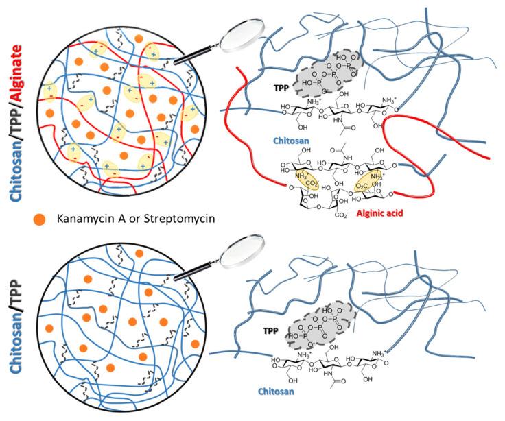 https://cdn.ncbi.nlm.nih.gov/pmc/blobs/8a70/8512199/5ad80d2da9cc/polymers-13-03326-g005.jpg