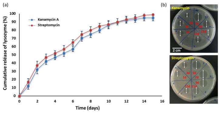 https://cdn.ncbi.nlm.nih.gov/pmc/blobs/8a70/8512199/af8344eed5b5/polymers-13-03326-g008.jpg