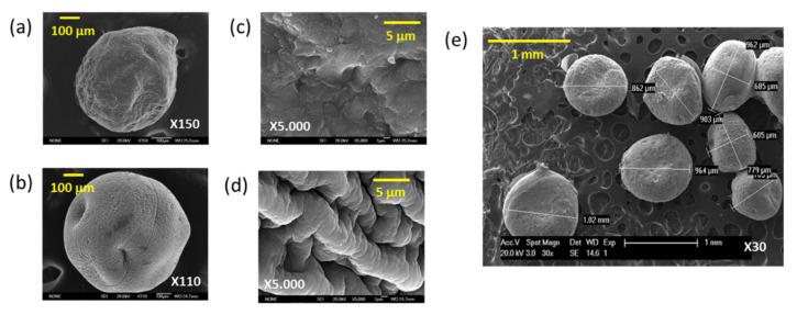 https://cdn.ncbi.nlm.nih.gov/pmc/blobs/8a70/8512199/ebb8eee7b6aa/polymers-13-03326-g004.jpg