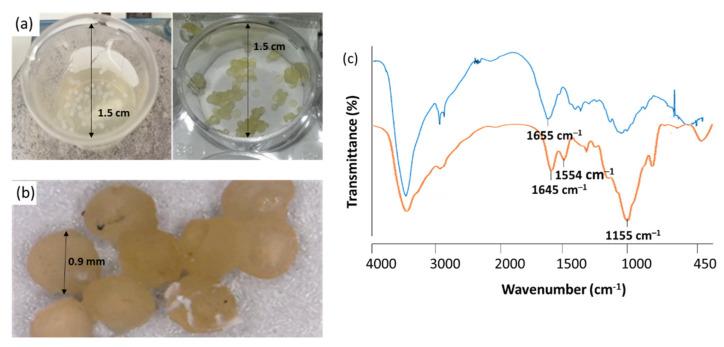 https://cdn.ncbi.nlm.nih.gov/pmc/blobs/8a70/8512199/ee8034bcb613/polymers-13-03326-g003.jpg