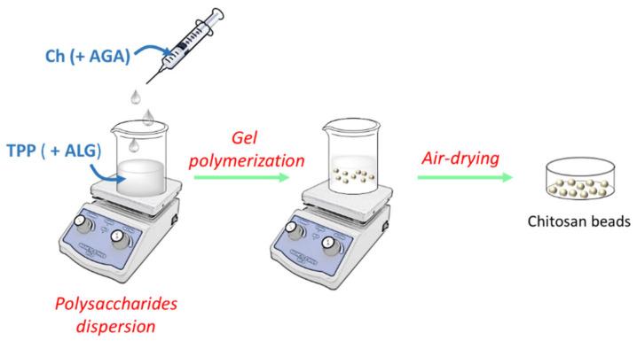 https://cdn.ncbi.nlm.nih.gov/pmc/blobs/8a70/8512199/fe91591bfa03/polymers-13-03326-g002.jpg