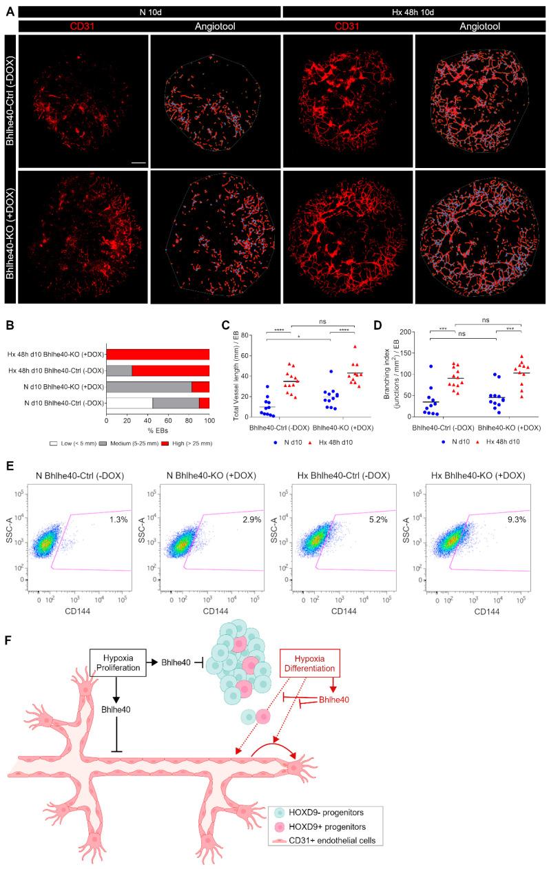 https://cdn.ncbi.nlm.nih.gov/pmc/blobs/8a72/11277088/4966894195f2/ijms-25-07669-g007.jpg