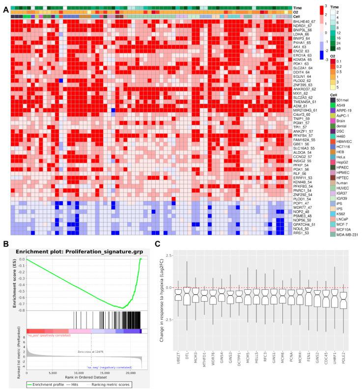 https://cdn.ncbi.nlm.nih.gov/pmc/blobs/8a72/11277088/baaf7a401545/ijms-25-07669-g001.jpg