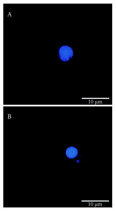 https://cdn.ncbi.nlm.nih.gov/pmc/blobs/8a73/113775/010801d5afe2/014.fig.003.jpg
