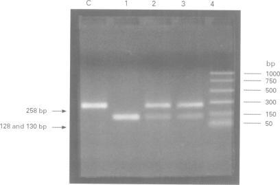 https://cdn.ncbi.nlm.nih.gov/pmc/blobs/8a75/1051339/ac218bc2fa45/jmedgene00235-0025-a.jpg