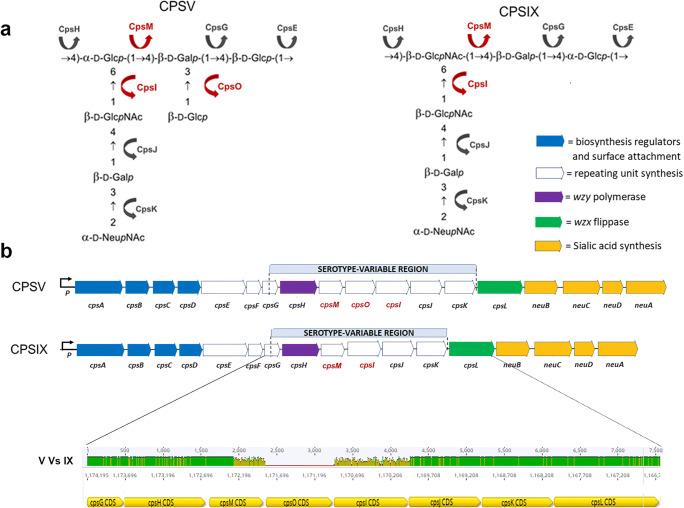 https://cdn.ncbi.nlm.nih.gov/pmc/blobs/8a75/8260425/66c3bb081ab2/10719_2021_10000_Fig1_HTML.jpg