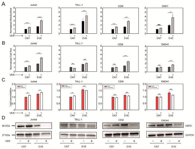 https://cdn.ncbi.nlm.nih.gov/pmc/blobs/8a77/10045900/369ca2e830a4/antioxidants-12-00625-g004.jpg