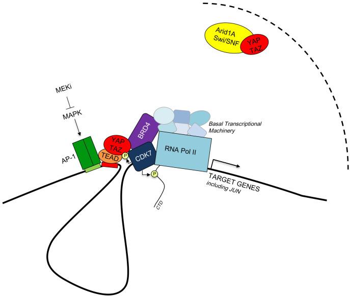 https://cdn.ncbi.nlm.nih.gov/pmc/blobs/8a77/8561301/2fd51e779ccd/ces-05-167-g001.jpg