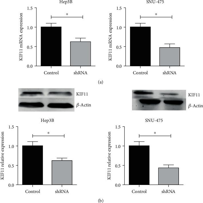 https://cdn.ncbi.nlm.nih.gov/pmc/blobs/8a78/7801104/58fe2e8caa53/BMRI2021-2676745.003.jpg