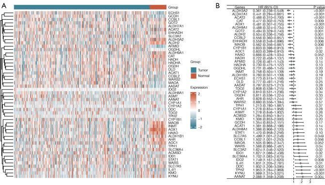 https://cdn.ncbi.nlm.nih.gov/pmc/blobs/8a79/12076229/0bfdf56dde56/tau-14-04-1082-f1.jpg