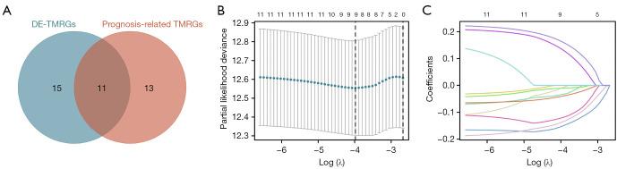 https://cdn.ncbi.nlm.nih.gov/pmc/blobs/8a79/12076229/16eb31047b72/tau-14-04-1082-f2.jpg