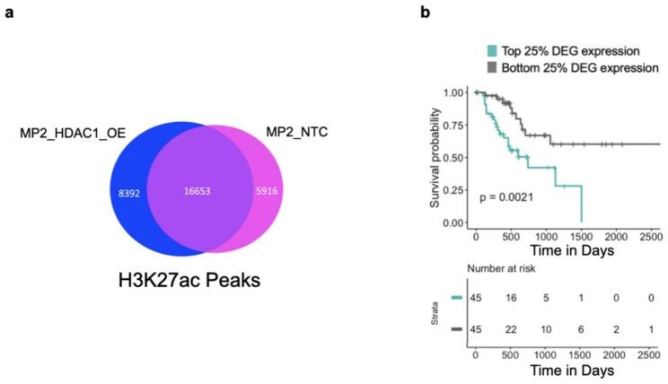 https://cdn.ncbi.nlm.nih.gov/pmc/blobs/8a7a/10666341/63c9a1fe1977/12885_2023_11645_Fig4_HTML.jpg