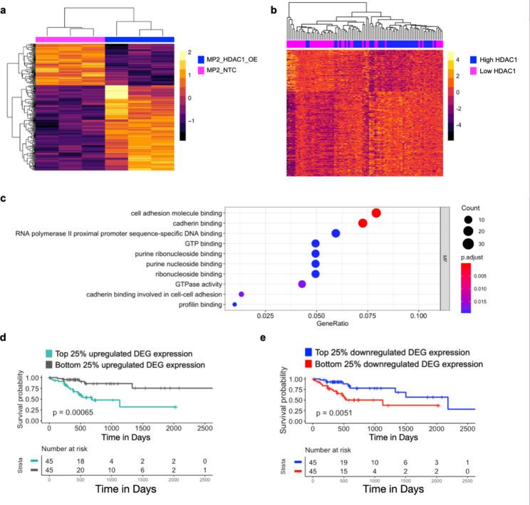 https://cdn.ncbi.nlm.nih.gov/pmc/blobs/8a7a/10666341/90b1f87c64fb/12885_2023_11645_Fig2_HTML.jpg