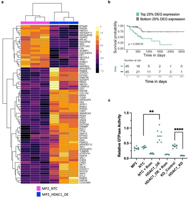 https://cdn.ncbi.nlm.nih.gov/pmc/blobs/8a7a/10666341/d4f27f52ad86/12885_2023_11645_Fig5_HTML.jpg