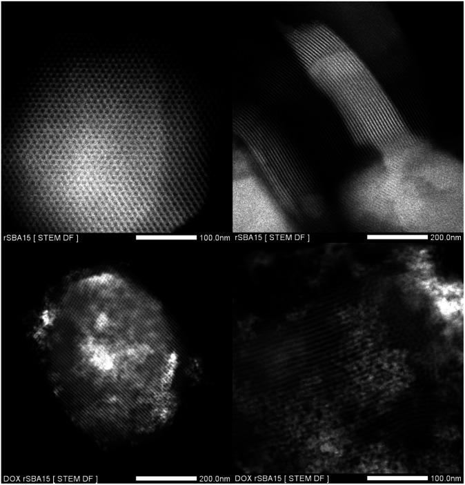https://cdn.ncbi.nlm.nih.gov/pmc/blobs/8a7d/9052939/d722ae127a80/d0ra02091e-f8.jpg