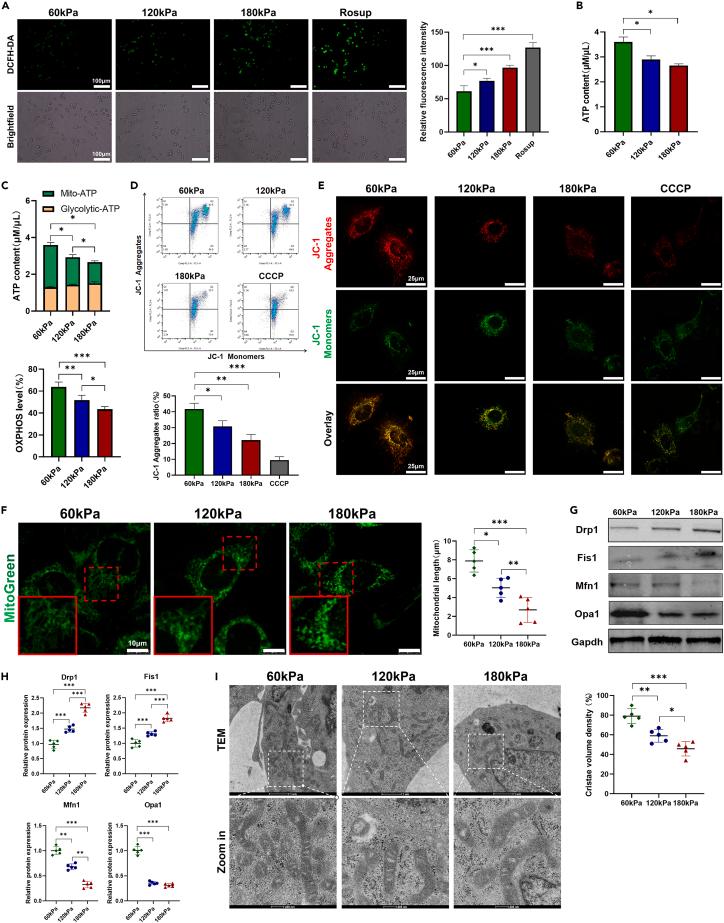https://cdn.ncbi.nlm.nih.gov/pmc/blobs/8a7e/11328034/02325842fa2f/gr3.jpg
