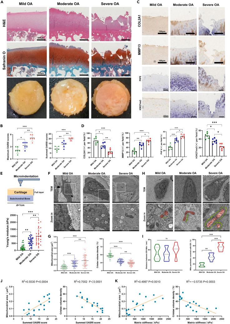 https://cdn.ncbi.nlm.nih.gov/pmc/blobs/8a7e/11328034/0f781474e540/gr8.jpg
