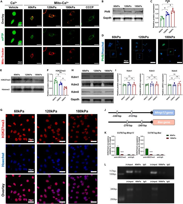 https://cdn.ncbi.nlm.nih.gov/pmc/blobs/8a7e/11328034/344650e42e3b/gr5.jpg