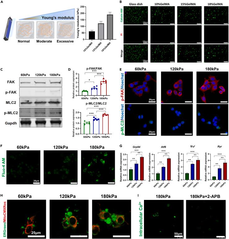 https://cdn.ncbi.nlm.nih.gov/pmc/blobs/8a7e/11328034/65e0427c24b6/gr1.jpg