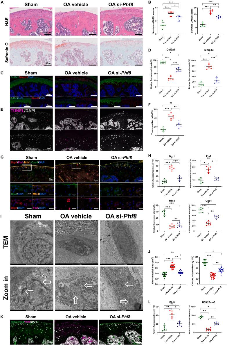 https://cdn.ncbi.nlm.nih.gov/pmc/blobs/8a7e/11328034/f09b99030af4/gr7.jpg