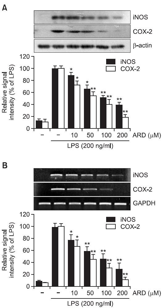 https://cdn.ncbi.nlm.nih.gov/pmc/blobs/8a80/3830120/2ab2defa845e/ooomb4-21-216-g003.jpg