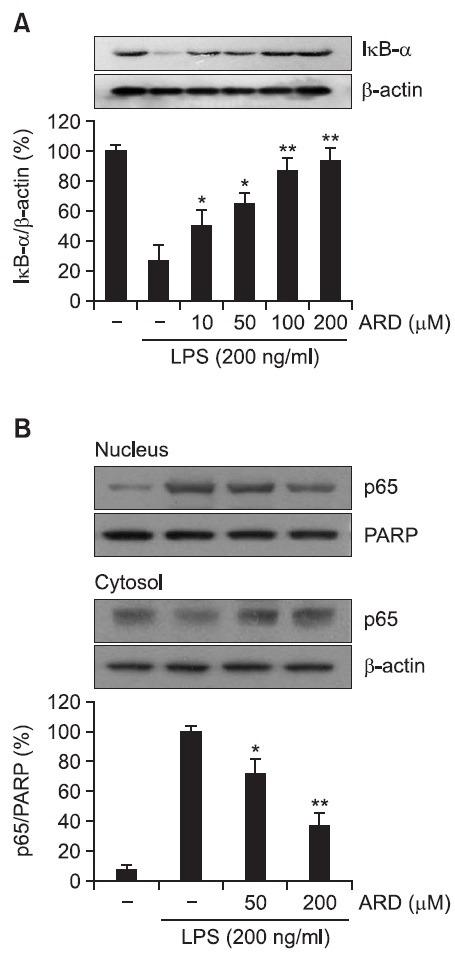 https://cdn.ncbi.nlm.nih.gov/pmc/blobs/8a80/3830120/4417901c5836/ooomb4-21-216-g004.jpg