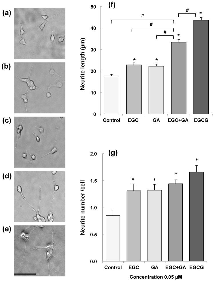 https://cdn.ncbi.nlm.nih.gov/pmc/blobs/8a80/6099654/87b8f71aedda/molecules-23-01297-g002.jpg
