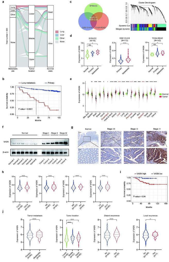 https://cdn.ncbi.nlm.nih.gov/pmc/blobs/8a82/11301854/9c35785266ce/12967_2024_5473_Fig1_HTML.jpg