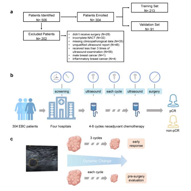 https://cdn.ncbi.nlm.nih.gov/pmc/blobs/8a82/11685924/ce20bf5e524b/41598_2024_80409_Fig1_HTML.jpg