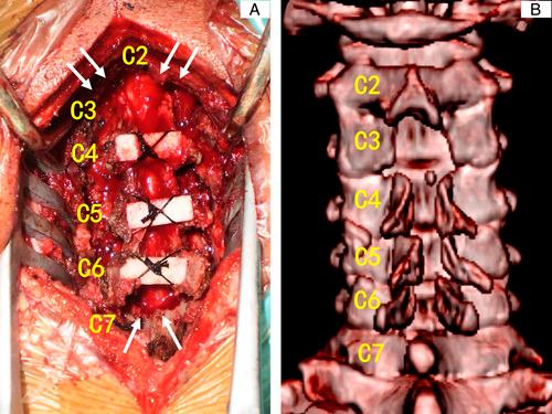 https://cdn.ncbi.nlm.nih.gov/pmc/blobs/8a83/10389570/bffa9e1a7d71/js9-109-0905-g001.jpg