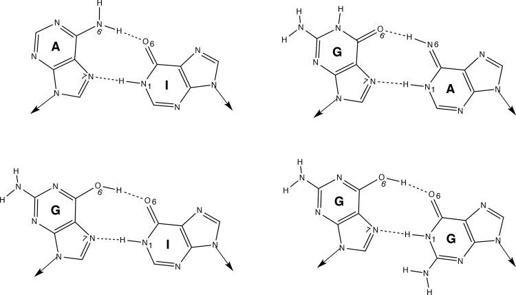https://cdn.ncbi.nlm.nih.gov/pmc/blobs/8a86/3974571/0286ceb69bb6/biolrep-06-19-g005.jpg
