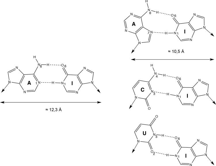 https://cdn.ncbi.nlm.nih.gov/pmc/blobs/8a86/3974571/4f41d6a8dec6/biolrep-06-19-g004.jpg