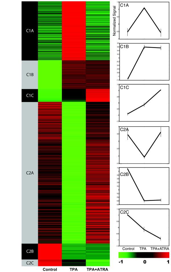 https://cdn.ncbi.nlm.nih.gov/pmc/blobs/8a87/2685120/769191060b60/1476-4598-8-27-2.jpg