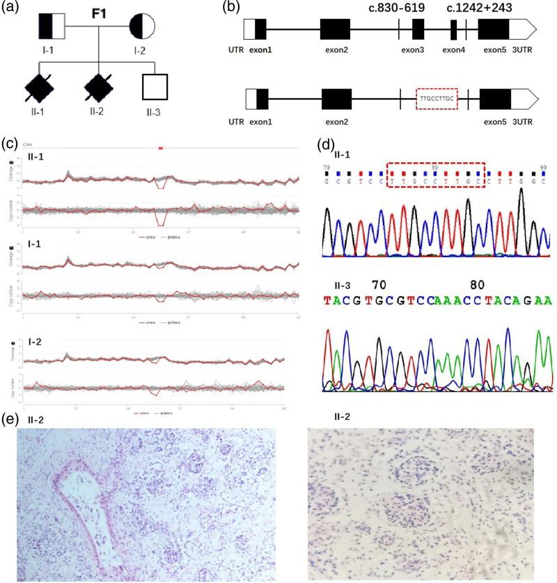https://cdn.ncbi.nlm.nih.gov/pmc/blobs/8a88/11867794/7cad5620df26/cd-34-37-g001.jpg