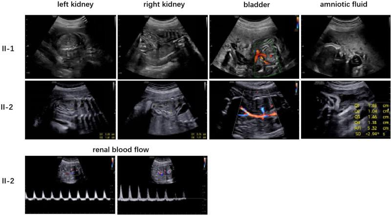 https://cdn.ncbi.nlm.nih.gov/pmc/blobs/8a88/11867794/c89fc17a92ab/cd-34-37-g004.jpg