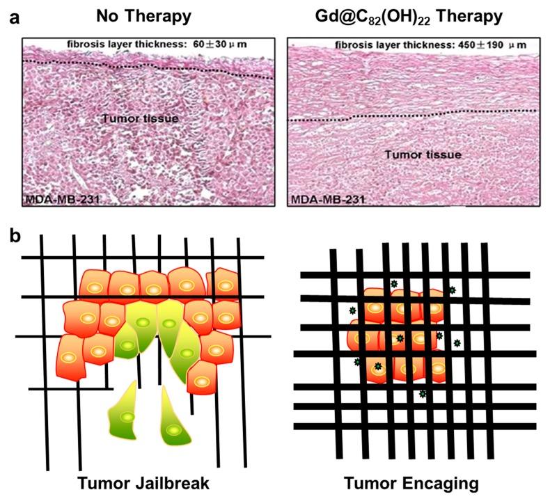 https://cdn.ncbi.nlm.nih.gov/pmc/blobs/8a8b/6650816/33ebb559171b/molecules-24-02387-g001.jpg