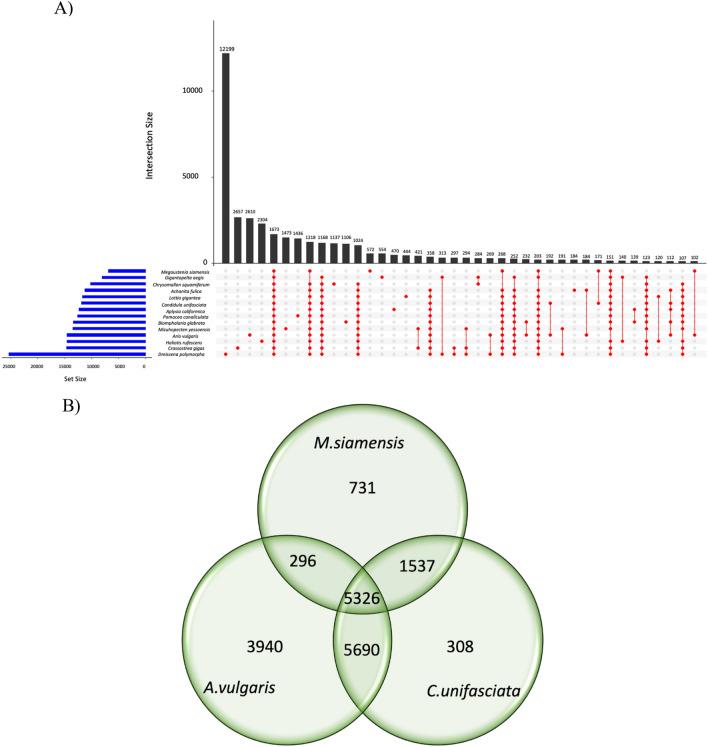 https://cdn.ncbi.nlm.nih.gov/pmc/blobs/8a8c/11178922/46e450389d2e/41598_2024_64425_Fig2_HTML.jpg