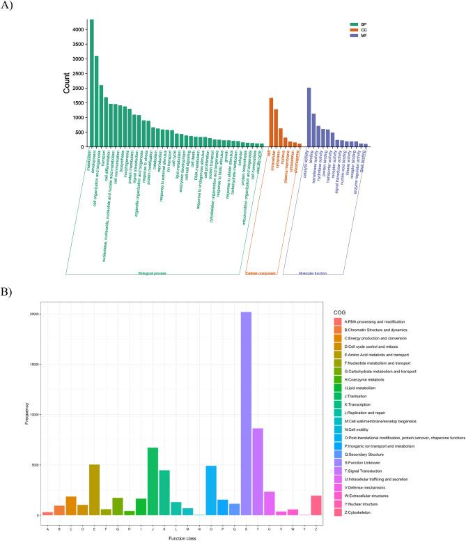 https://cdn.ncbi.nlm.nih.gov/pmc/blobs/8a8c/11178922/a439a12936c6/41598_2024_64425_Fig4_HTML.jpg