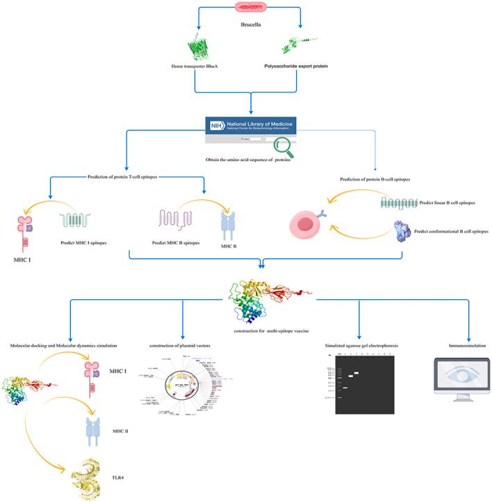 https://cdn.ncbi.nlm.nih.gov/pmc/blobs/8a8c/11325379/2b300c0e2167/ga1.jpg