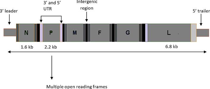 https://cdn.ncbi.nlm.nih.gov/pmc/blobs/8a8d/9869300/b3bc4194e414/12010_2022_4300_Fig3_HTML.jpg